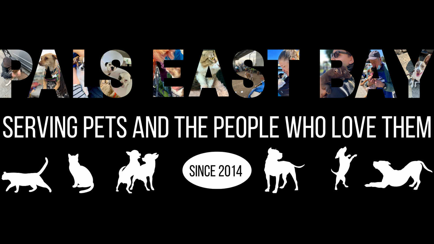 PALS East Bay Header with Pictures in Letters above solid white text Serving Pets and the People Who Love Them since 2014, white silhouette dogs, cats playing